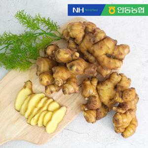 안동농협 향긋한 흙 생강4kg