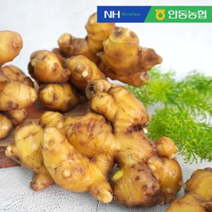 안동농협 향긋한 흙 생강1kg