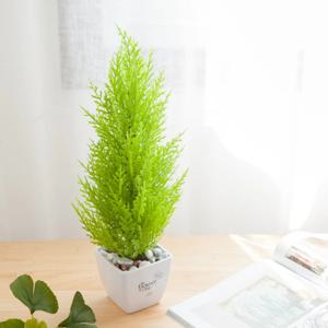 율마 조화 화분 오색자갈 세트 소 43cm 인테리어 식물 테이블 장식