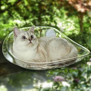 버블 캣 고양이 해먹