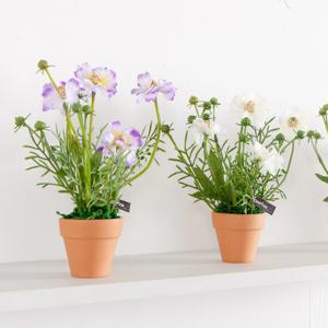 코스모스 조화 화분 토분 세트 20cm 4colors 인테리어 꽃 테이블 장식