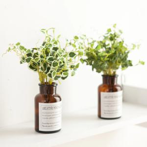 아이비 조화 화병 레터링 스킨 세트 20cm (DIY) 2types 인테리어 식물