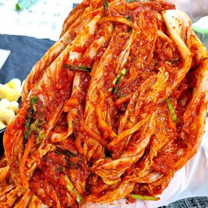 포기김치 10kg