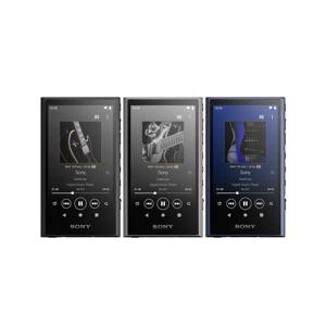 워크맨 NW-A306 32GB MP3 DAP