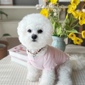 강아지티셔츠  하늘하늘 러플티 봄여름 사계절 강아지옷