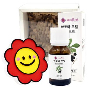 석고 차량용 방향제 플라워 썬 새차 디퓨저 20대 30대 안전운전 행운