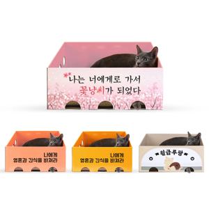 고양이 카펫 스크래쳐 박스 2size 4colors