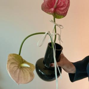 조화+화병세트 블랙 꽃병 실크플라워 안스리움 Noir Vase&Anthurium Set