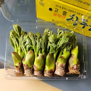 당일수확 전남 고흥 참두릅 1kg