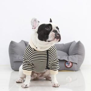 엣지레이스 강아지 고양이 사각방석 2colors
