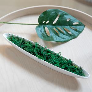 인조 청이끼 테라리움 소 (100g) 인테리어 장식 소품 원예 데코
