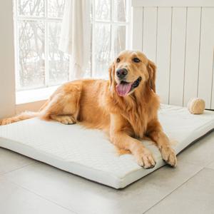 초코펫 강아지침대 중형견 대형견 방석 사이언스 매트리스 2.0