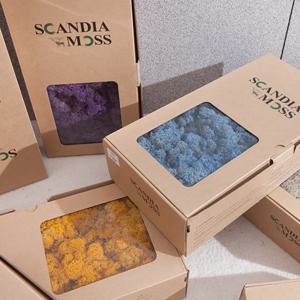스칸디아모스 천연이끼 공기정화 식물 500g 23colors 인테리어 diy