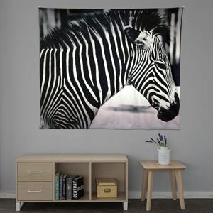 대형 패브릭포스터 / 가리개커튼 150x130(cm) 지브라