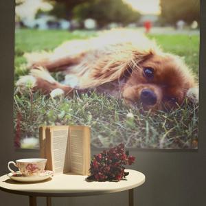 대형 패브릭포스터 / 가리개커튼 150x130(cm) 러블리 퍼피
