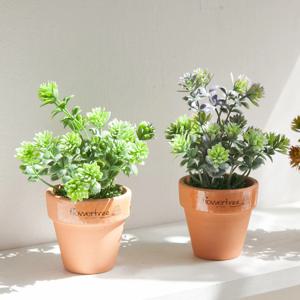 베베 다육 토분 set 13cm 3colors 인테리어 조화 테이블 장식
