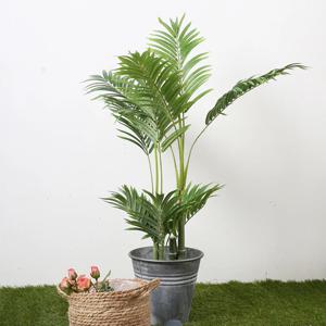 종려나무 93cm