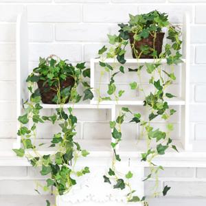 행잉플랜트 조화화분 바구니넝쿨 아이비