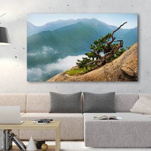 산 풍경 그림 캔버스 거실 액자 _설악산 정상 소나무