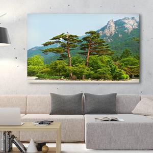 산 풍경 그림 캔버스 거실 액자 _설악산 소나무