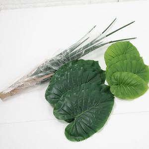 조화나무 필로트리 112cm(화분별도)