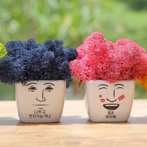 스칸디아모스 결혼축하 이모티콘 화분 4color