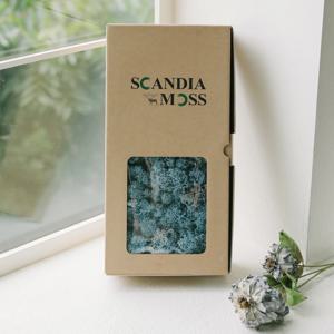 스칸디아모스 공기정화 BOX 500g -10 color