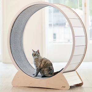 고양이 캣휠 / 고양이장난감 SET (캣휠+휠카페트)