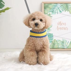 강아지목줄 스킨 매쉬 와이티하네스 4colors