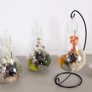 스칸디아모스 공기정화식물 화병 물방울 글라스 set 25cm 3컬러