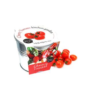 방울토마토 양철키친가든 재배세트