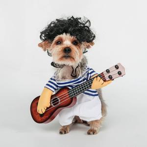 반려동물 코스튬 의상 기타치는 옷