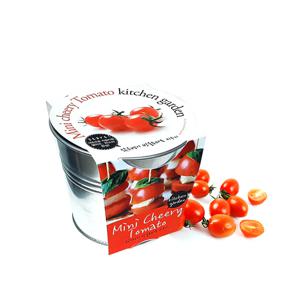 앉은뱅이 방울토마토 양철 키친가든 재배 세트