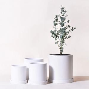 도자기화분 무광 원형 가드닝 분갈이 화분 5sizes