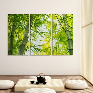 북유럽 거실인테리어그림 분할사진액자 대형캔버스 곧은 대나무 3세트