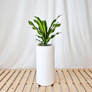 맛상게아나 대리석패턴  화이트 원형화분