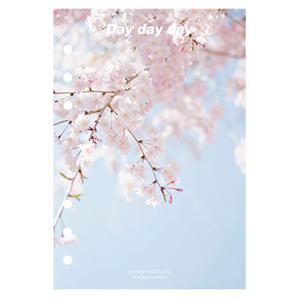 6공 다이어리 감성 표지 리필 (벚꽃바람 A5 A6)