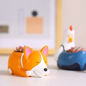 잠자는 웰시코기 다육화분(다육포함)