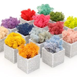 스칸디아모스 천연이끼 시멘트블록 화분_15colors