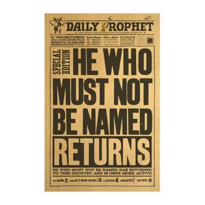 R09 영화 해리포터 빈티지포스터 브로마이드 예언자일보 교육령 Harry Potter