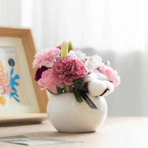 비누 카네이션 조화 화분 믹스베리 Bset 18cm 꽃 어버이날 스승의날