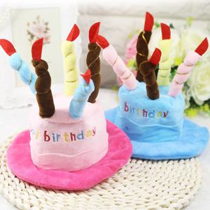 반려동물 생일파티 케이크모자