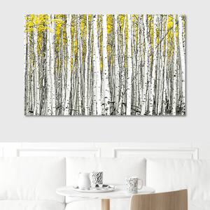 풍수 순백 자작나무 와이드 금전운지리 사진 그림 액자