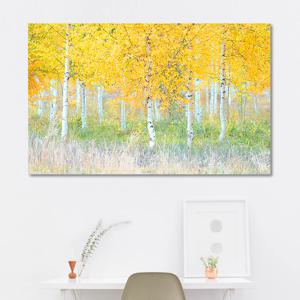 풍수 산뜻 자작나무 와이드 금전운지리 사진 그림 액자