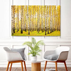 풍수 번창 자작나무 와이드 금전운지리 사진 그림 액자