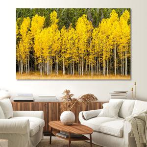 풍수 금전 자작나무 와이드 금전운지리 사진 그림 액자