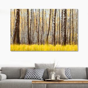 풍수 소망 자작나무 와이드 금전운지리 사진 그림 액자