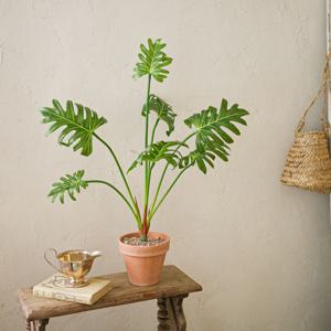 셀렘 조화 인조나무 화분 (50cm) 연황토 베이지 화분