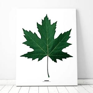 GREEN LEAF No3 북유럽풍 보테니컬 인테리어 식물액자