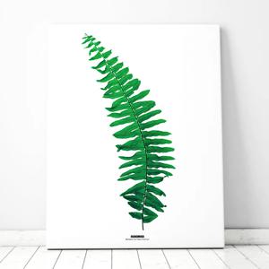 GREEN LEAF No1 북유럽풍 보테니컬 인테리어 식물액자